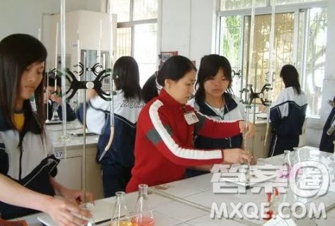 食品营养与检验教育专业学哪些课程 食品营养与检验教育专业是学什么的