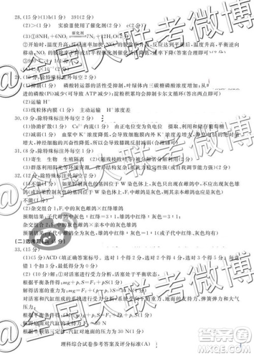 2019年5月普通高等学校招生全国统一模拟考试A卷B卷理综参考答案 2019年5月普通高等学校招生全国统一模拟考试A卷B卷理综参考答案