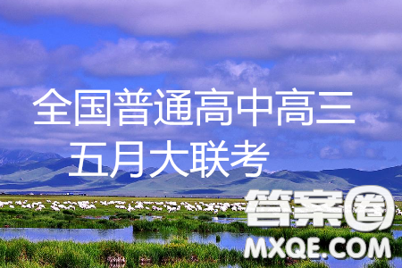 2019年全国普通高中高三五月大联考语文参考答案 2019年全国普通高中高三五月大联考语文参考答案