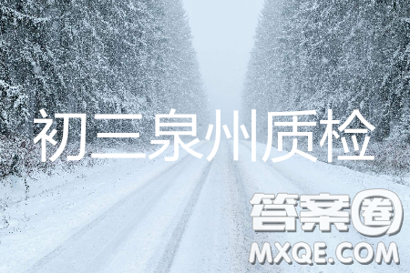 2019年泉州市初中毕业班学业质量检测数学试题及答案