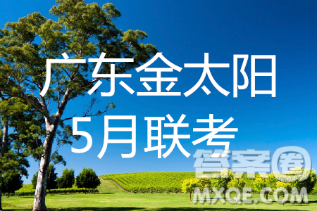 2019年广东金太阳5月联考文数试题及参考答案