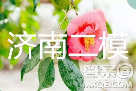 2019年济南二模文科数学试题及参考答案