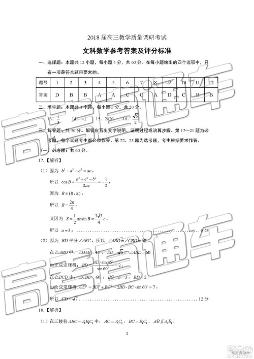 2019年济南二模文科数学试题及参考答案