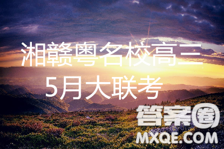 2019湘赣粤名校高三5月联考文理综参考答案