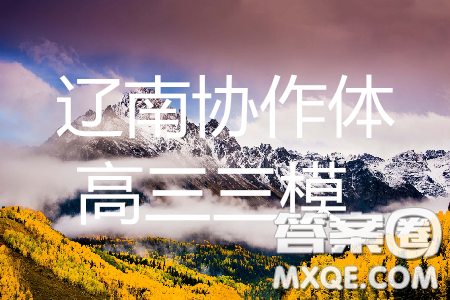 2019年5月辽宁金太阳大联考文理数答案