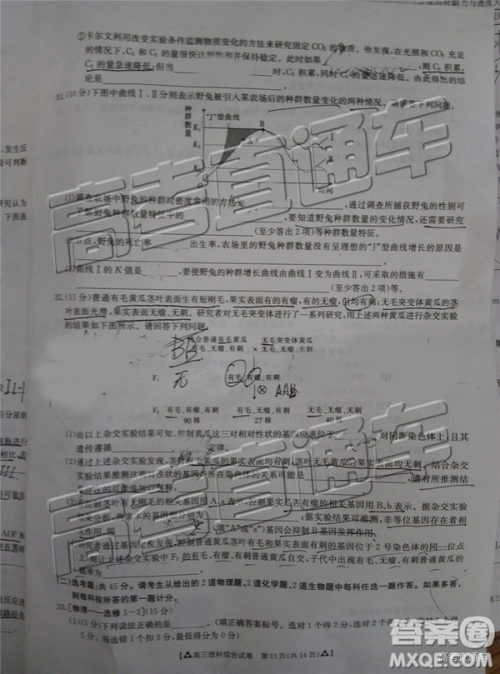 2019年广东金太阳5月联考文理综试题及参考答案