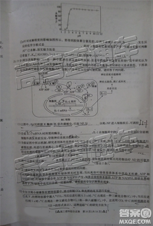 2019年广东金太阳5月联考文理综试题及参考答案