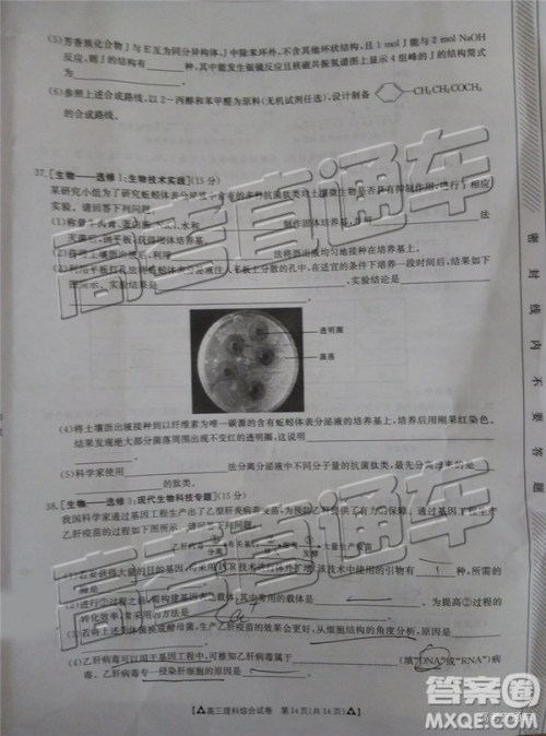 2019年广东金太阳5月联考文理综试题及参考答案