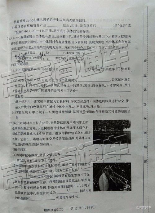 2019年太原二模文理综试题及参考答案 2019年太原二模文理综试题及参考答案