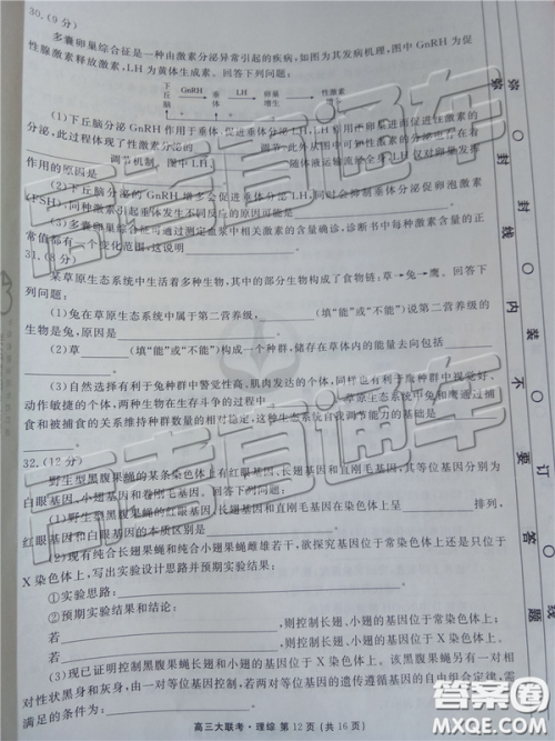 2019年全国普通高中高三五月大联考文理综试题及参考答案