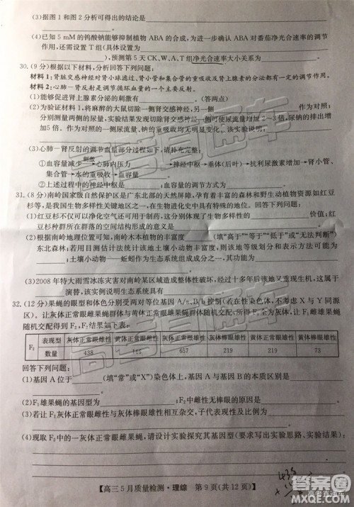 2019九师联盟5月质检文理综试题及参考答案 2019九师联盟5月质检文理综试题及参考答案