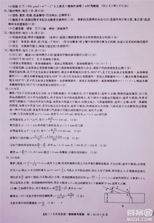 2019九师联盟5月质检文理综试题及参考答案 2019九师联盟5月质检文理综试题及参考答案