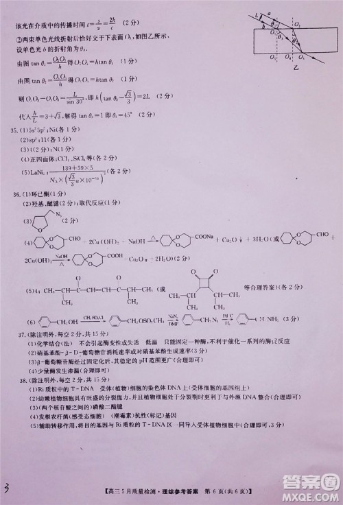 2019九师联盟5月质检文理综试题及参考答案