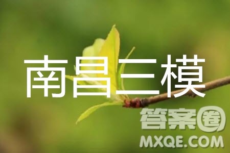 2019年南昌三模文科数学参考答案