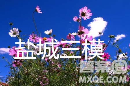 2019年盐城三模理综试题及答案