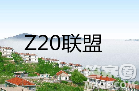 2019年浙江省名校新高考研究联盟Z20联盟第三次联考语文试题及答案