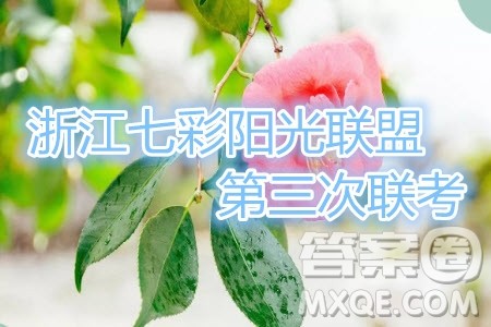 2019年浙江七彩阳光联盟第三次联考语文试题及参考答案