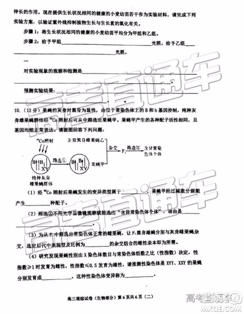 2019年天津河西区高三二模文理综试题及答案