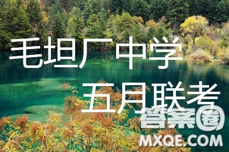 2019年安徽毛坦厂中学高三五月联考语文试题及答案