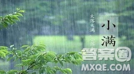 小满与芒种作文 关于小满与芒种的作文600字 小满与芒种作文 关于小满与芒种的作文600字