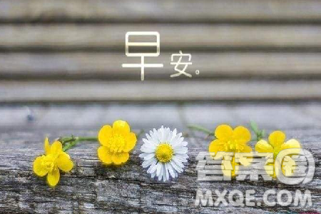 以属于自己的纪念日为题的作文600字 有关属于自己的纪念日感悟