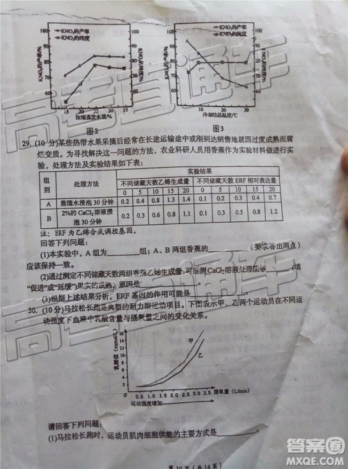 2019年葫芦岛市二模理综试题及参考答案