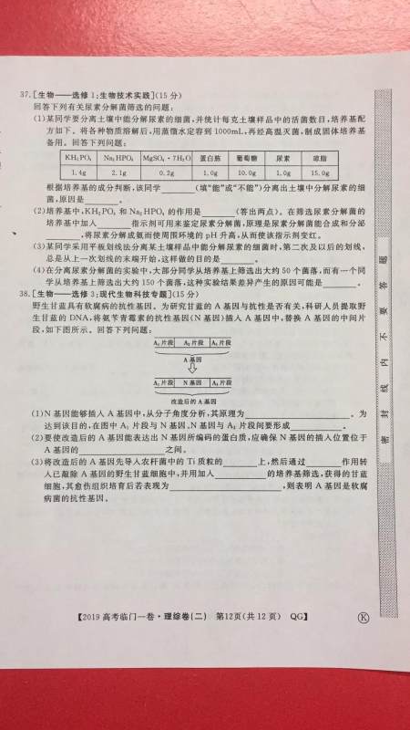 2019年普通高等学校招生全国统一考试临门一卷二文理综试题及答案 2019年普通高等学校招生全国统一考试临门一卷二文理综试题及答案