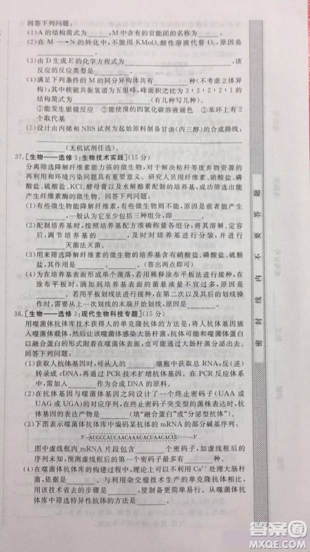 2019年普通高等学校招生全国统一考试冲刺预测卷四理科综合试题及答案 2019年普通高等学校招生全国统一考试冲刺预测卷四理科综合试题及答案