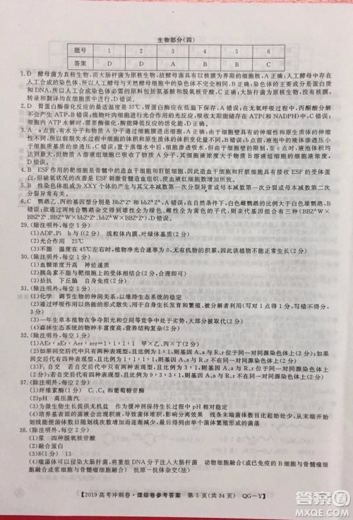 2019年普通高等学校招生全国统一考试冲刺预测卷四理科综合试题及答案 2019年普通高等学校招生全国统一考试冲刺预测卷四理科综合试题及答案