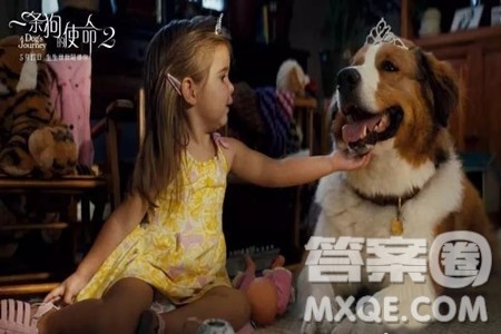 一条狗的使命2观后感 关于一条狗的使命2观后感400字