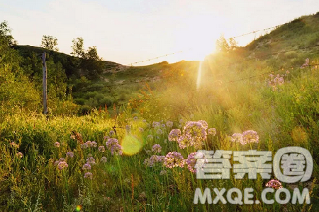 以一次相逢一份暖为题的作文600字 关于一次相逢一份暖的作文 以一次相逢一份暖为题的作文600字 关于一次相逢一份暖的作文