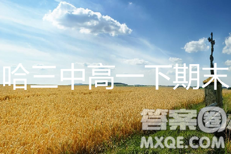 2019哈三中高一下学期期末考试语文试卷答案 2019哈三中高一下学期期末考试语文试卷答案
