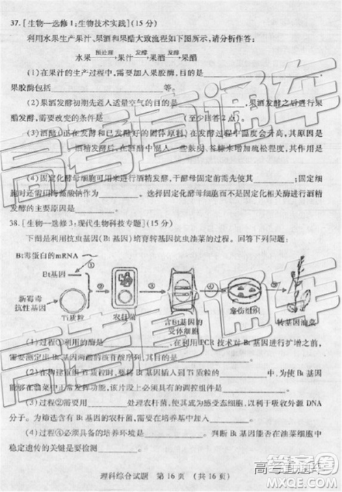 2019年枣庄四模理综试题及答案