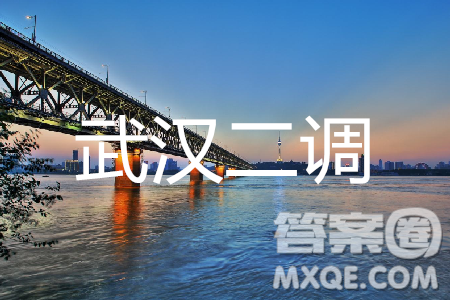 2019年武汉五月第二次调研考试文数试题及答案