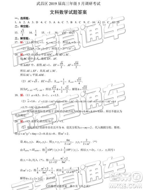 2019年武汉五月第二次调研考试文数试题及答案