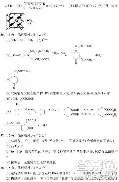 2019年豫科名校大联考B卷高三理科综合答案