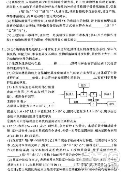 2019年豫科名校大联考B卷高三理科综合答案