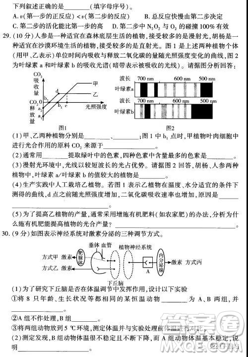 2019年豫科名校大联考B卷高三理科综合答案