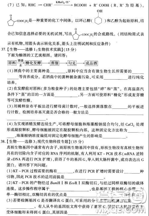 2019年豫科名校大联考B卷高三理科综合答案