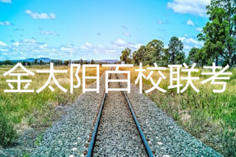 2019年5月24日金太阳百校联考语文答案 ​​​​