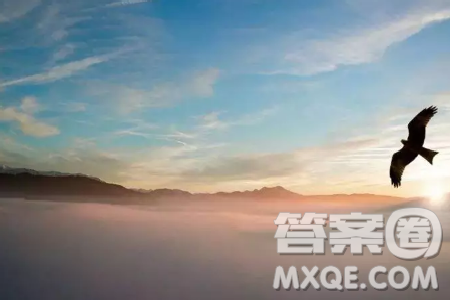 知信行三者的关系作文800字 关于知信行三者的关系作文 知信行三者的关系作文800字 关于知信行三者的关系作文