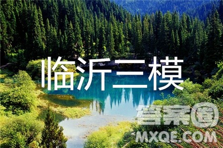 2019年临沂三模语文试题及参考答案 2019年临沂三模语文试题及参考答案