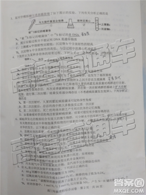 2019年武汉五月第二次调研考试理综试题及答案