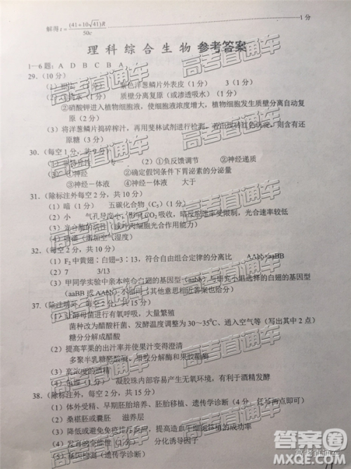 2019年武汉五月第二次调研考试理综试题及答案