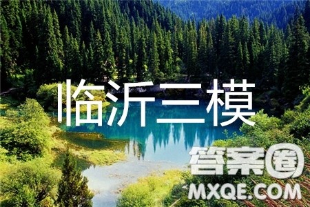 2019年临沂三模文理数试题及参考答案
