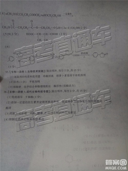 2019年临沂三模理科综合试题及参考答案