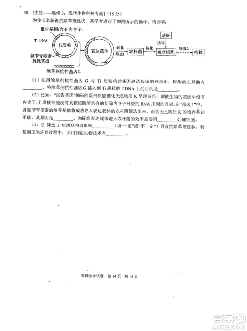 2019年河南省八市重点高中联盟领军考试第五次测评文理综试题及答案