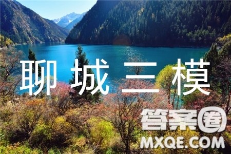 2019年聊城三模文理数试题及参考答案 2019年聊城三模文理数试题及参考答案