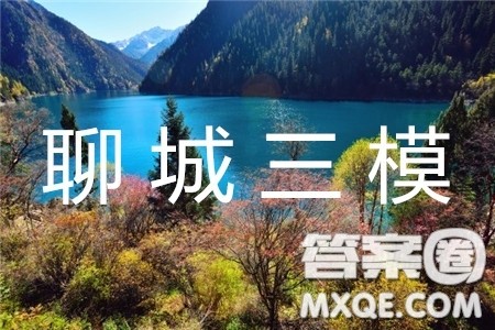 2019年聊城三模文综参考答案