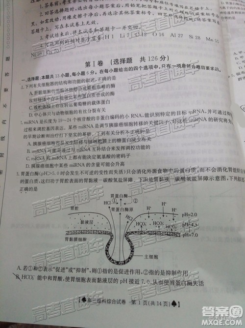 2019年5月24日金太阳百校联考文理综试题及参考答案